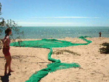 It took 13 people a full day to dig out this ghost net as part of an annual green turtle tagging program on Cobourg Peninsula, northern Australia.