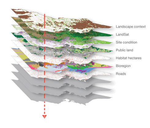 The layers of information contained within the new native vegetation model.