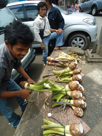 Locally grown taro on sale in Indonesia – the country sees soil mapping as critical to increasing its food production.