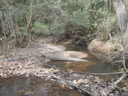 Watercourses in their natural state allow native species to compete better with invasive species.
