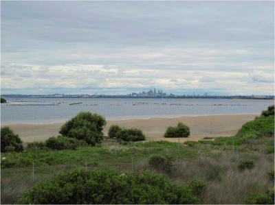 Sydney’s Botany Bay – its function as a ‘Blue Carbon’ sink may be undermined by increasing urbanisation.