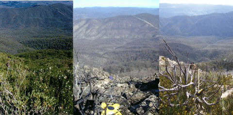 An area of the Brindabella Ranges in 1997 (left), before the 2003 ACT fires; soon after the fires (middle); and in 2010 (right).