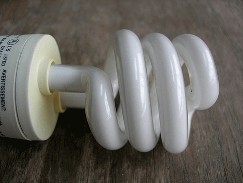 Compact fluorescent light bulbs contain mercury, which when disposed of in landfill can convert into toxic methylmercury.