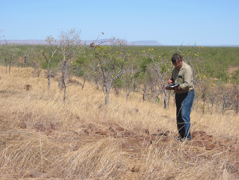 Alan Payne, former Rangelands Advisor with Department of Agriculture and Food, Western Australia (DAFWA), collecting survey data on the rocky basaltic slopes of Frayne Land System, East Kimberley, 2003<br/>
