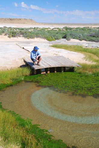 A mound spring known as ‘the bubbler’ on the western edge of the Great Artesian Basin, South Australia. This spring has been flowing for thousands of years.