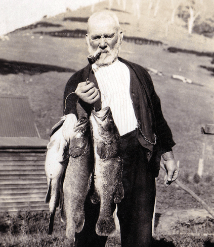 Thomas Bryan, original settler of ‘Prospect Hill’, Molesworth, Victoria, with three cod caught from the Goulburn River c1927. The fish on the right is definitely a trout cod clearly identified by the body markings.