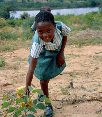 A schoolgirl watering a seedling, Zimbabwe: examples of self-regulation of groundwater management exist in local communities where farmer cooperatives have been setup.