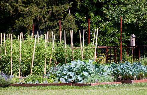 White House Vegetable Garden Plan