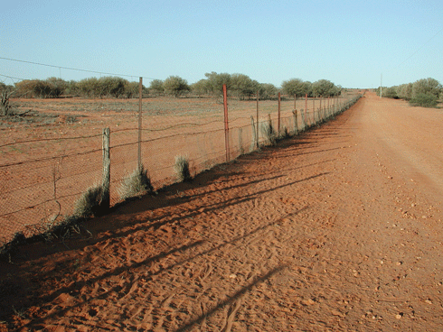 The existing dingo fence between Queensland and NSW.
