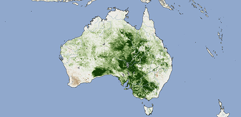Australia’s vegetation as seen by NASA satellite during the 2011 La Niña: such maps feed into the neural network tool to predict bushfire risk.