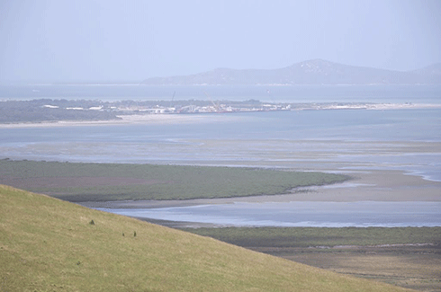 A view over Corner Inlet with Wilsons Promontory in the background: Local fishing families have noticed the dieback of seagrasses and kelp, which provide essential habitat for fishes.