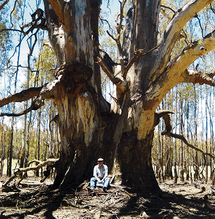 Matthew Colloff with a veteran river red gum at Barmah Forest during the Millennium Drought, 2007.
