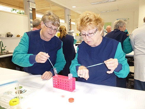 People of all ages are involved with MicroBlitz: at this workshop for seniors, participants learned how to do DNA extraction.