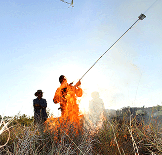 Garry Cook collecting smoke from a savanna fire for analysis.