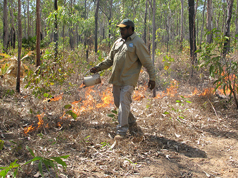 Tiwi Land Ranger, Leon Puruntatameri, managing fire with fire.