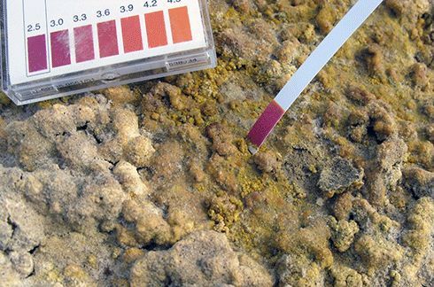 Bright-yellow acid salts on the surface of an exposed lake bed in South Australia’s Lower Lakes, with pH indicator strip showing low pH values of 2.5 – comparable to acid levels inside the human stomach.