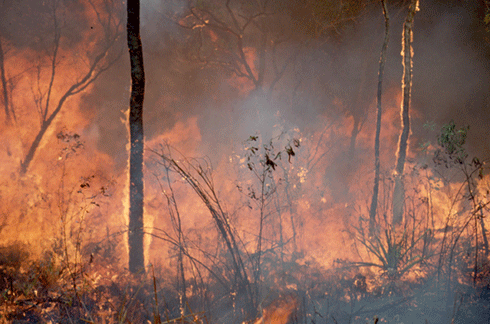 Fire in tropical Australia.