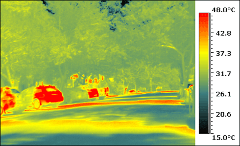 Thermal imaging shows how mature street trees create a dramatic cooling effect on city streets on a hot day.