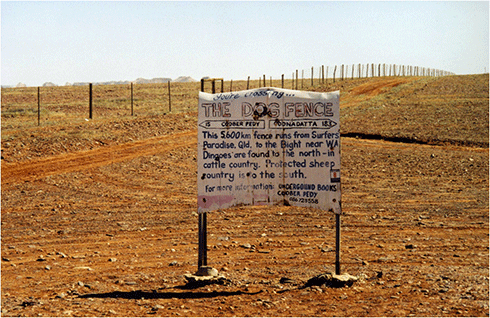 The dingo fence runs for over 5000 km from the Darling Downs, near Dalby in southern Queensland, west though thousands of kilometres of arid land ending on the cliff tops of Fowlers Bay on the Nullarbor Plain in South Australia. It divides the cattle grazing districts on the northern side from sheep grazing districts on the southern side.