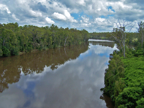 The Mary River downstream from the Traveston Dam site, towards Maryborough.